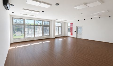 Rent Commercial premises, Commercial premises, Rudohorská, Sásová, Ban