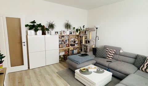 Sale Two bedroom apartment, Two bedroom apartment, Bratislava - Petrža