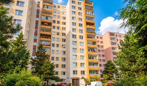 Sale Two bedroom apartment, Two bedroom apartment, Jégeho, Bratislava 