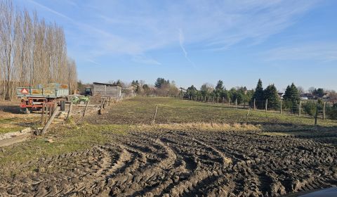 Sale Land – for living, Land – for living, Šaľa, Slovakia