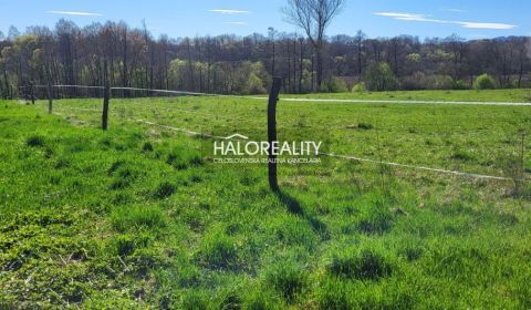 Sale Land – for living, Žiar nad Hronom, Slovakia