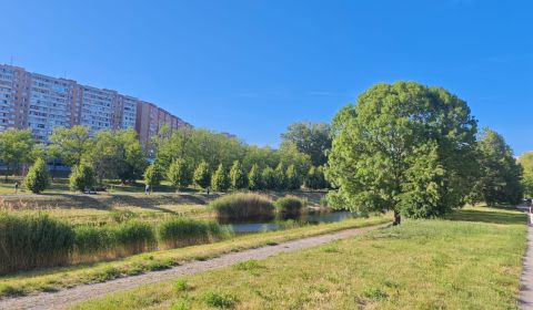 Rent Studio, Studio, Lachova, Bratislava - Petržalka, Slovakia