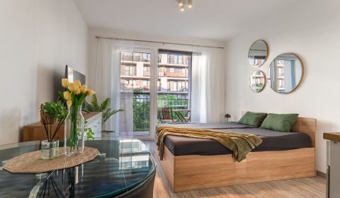 Rent Studio, Studio, Zuzany Chalupovej, Bratislava - Petržalka, Slovak