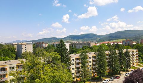 Sale One bedroom apartment, One bedroom apartment, Trenčianska, Ilava,