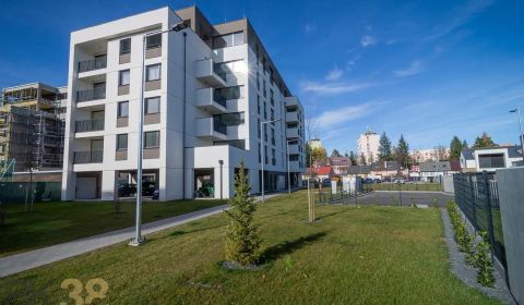 Rent One bedroom apartment, One bedroom apartment, Nové nábrežie, ul. 