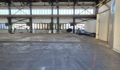 Rent Storehouses and Workshops, Storehouses and Workshops, Zoltána Kod
