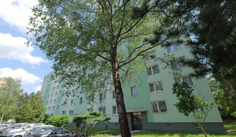 Sale Two bedroom apartment, Two bedroom apartment, Štúrova, Považská B