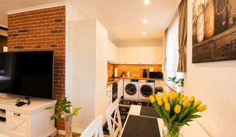 Rent One bedroom apartment, One bedroom apartment, Alešovo nábrežie, K