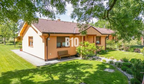 Sale Family house, Family house, Senica, Slovakia