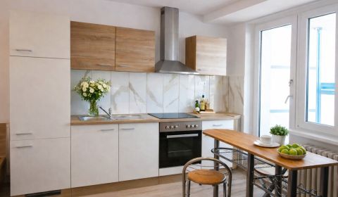 Sale Single studio, Single studio, Janka Alexyho, Bratislava - Dúbravk