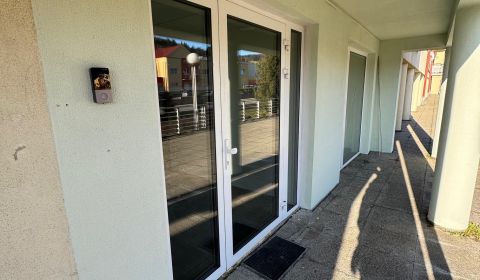 Rent Commercial premises, Commercial premises, Moyzesova, Považská Bys