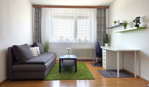 Sale Studio, Studio, Ipeľská, Bratislava - Podunajské Biskupice, Slova