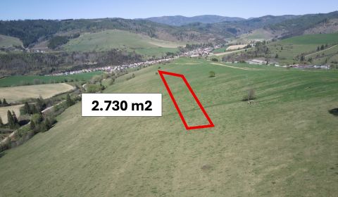 Sale Agrarian and forest land, Agrarian and forest land, Brezno, Slova