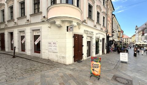 Rent Commercial premises, Commercial premises, Michalská, Bratislava -