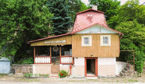 Sale Cottage, Cottage, Michalovce, Slovakia