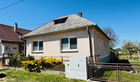 Sale Family house, Family house, Partizánske, Slovakia
