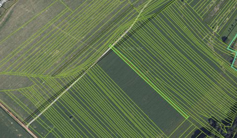 Sale Agrarian and forest land, Agrarian and forest land, Ilava, Slovak