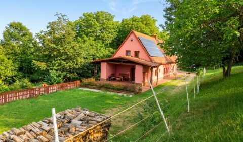 Sale Family house, Family house, Krupina, Slovakia
