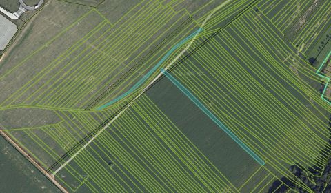 Sale Agrarian and forest land, Agrarian and forest land, Ilava, Slovak