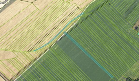 Sale Agrarian and forest land, Agrarian and forest land, Ilava, Slovak