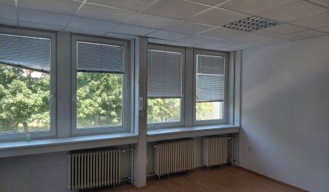 Rent Offices, Offices, Pluhová, Bratislava - Nové Mesto, Slovakia
