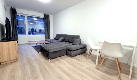Rent One bedroom apartment, One bedroom apartment, Fialová, Bratislava