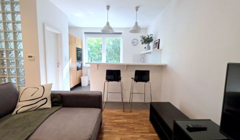 Rent One bedroom apartment, One bedroom apartment, Trenčianska, Bratis