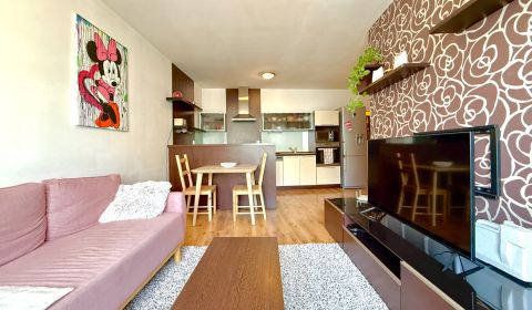 Rent One bedroom apartment, One bedroom apartment, Kresánkova, Bratisl