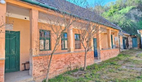 Sale Cottage, Cottage, Nové Zámky, Slovakia
