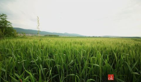 Sale Land – for living, Nitra, Slovakia