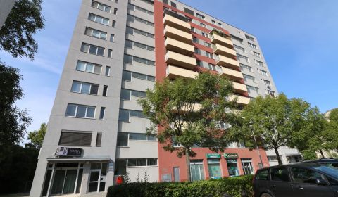 Rent One bedroom apartment, One bedroom apartment, Tomášikova, Bratisl
