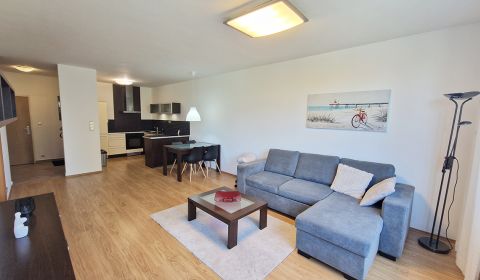 Rent One bedroom apartment, One bedroom apartment, Karloveské rameno, 