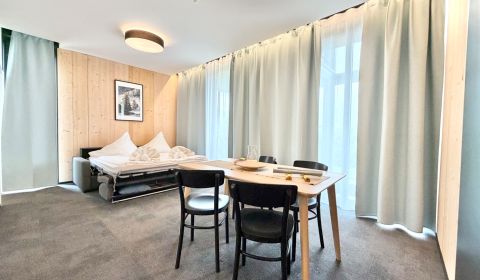 Modern 2-Room Apartment in Demänová Village Resort