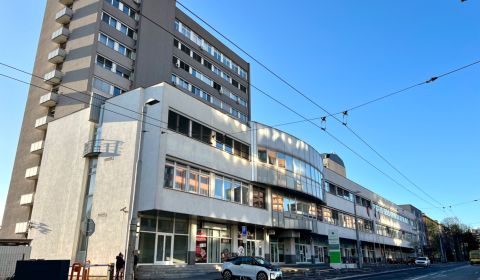 Rent One bedroom apartment, One bedroom apartment, Stromová, Bratislav