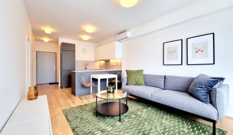 Rent One bedroom apartment, One bedroom apartment, Hraničná, Bratislav