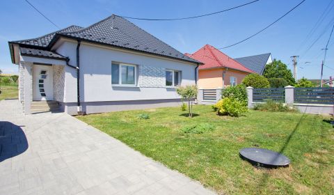 Sale Family house, Family house, Hlohovec, Slovakia