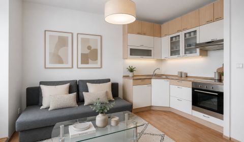 Sale One bedroom apartment, One bedroom apartment, Gessayova, Bratisla