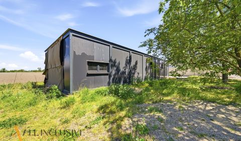 Sale Family house, Family house, Nekyje na Ostrove, Dunajská Streda, S
