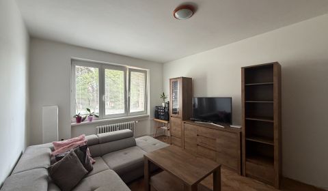 Sale One bedroom apartment, One bedroom apartment, Alexandra Dubčeka, 