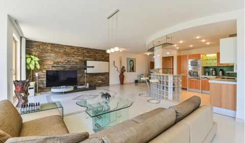 Sale Four+ bedroom apartment, Four+ bedroom apartment, Čapkova, Bratis