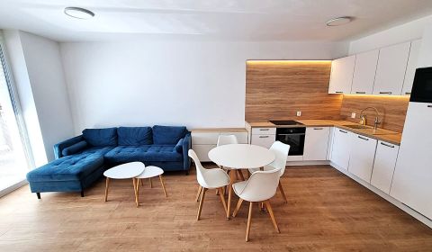 Rent One bedroom apartment, One bedroom apartment, Kubányiho dvory, Zv