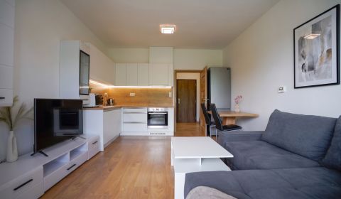 Sale One bedroom apartment, One bedroom apartment, Saratovská, Trenčín