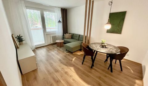 Rent One bedroom apartment, One bedroom apartment, Robotnícka, Senica,