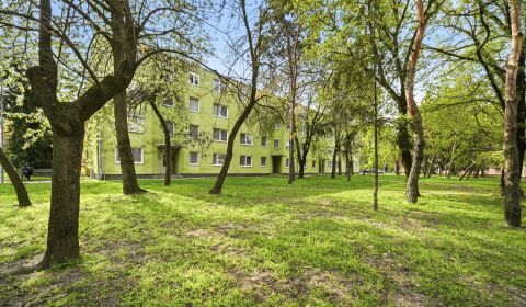 Rent Studio, Studio, Boriny, Dunajská Streda, Slovakia