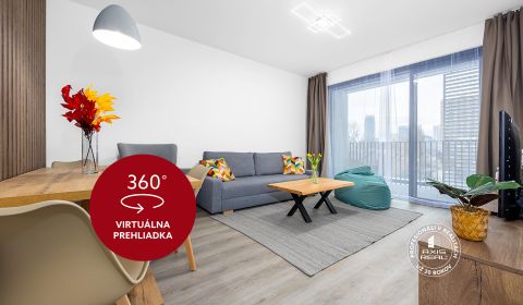 Rent One bedroom apartment, One bedroom apartment, Prístavná, Bratisla