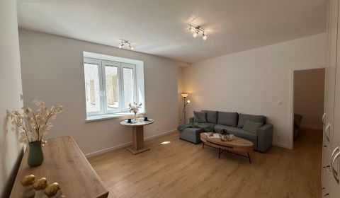 Rent One bedroom apartment, One bedroom apartment, Prievozská, Bratisl