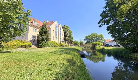 Sale Studio, Studio, Mosonmagyaróvár, Hungary