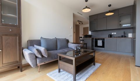 Premium 1-bedroom apartment with loggia, Vydrica