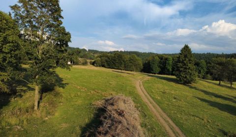 Sale Agrarian and forest land, Agrarian and forest land, Detva, Slovak