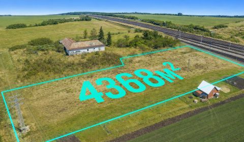 Sale Agrarian and forest land, Agrarian and forest land, Detva, Slovak